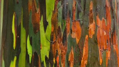 Stains paint rust 4k wallpaper