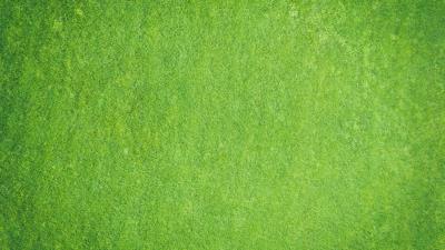 Surface texture green 4k wallpaper