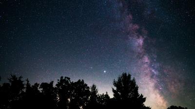 Trees nebula starry sky 4k wallpaper