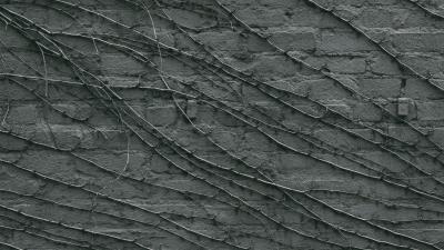 Vine wall gray 4k wallpaper
