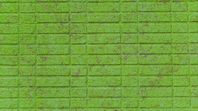Wall brick green 4k wallpaper