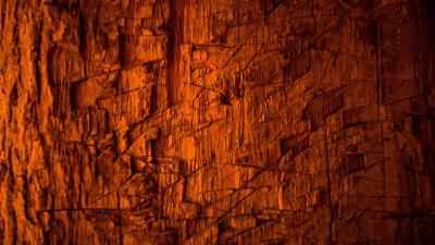 Wood bark scratches 4k wallpaper