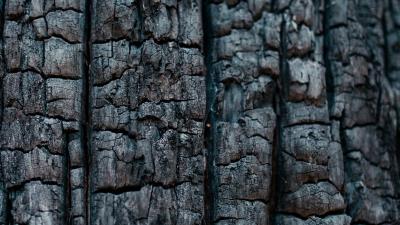 Wood coal texture 4k wallpaper