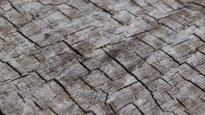 Wood cranny wooden 4k wallpaper