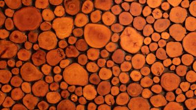 Wood texture logs 4k wallpaper