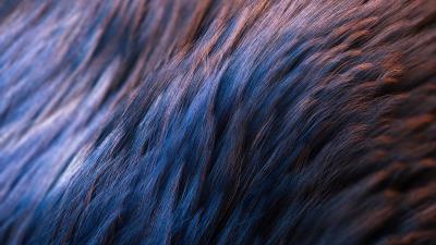 Wool texture surface 4k wallpaper