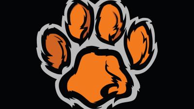 Paw trace imprint 4k wallpaper