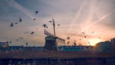 Windmill birds buildings sky 4k wallpaper
