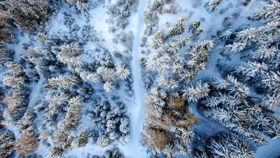 Winter forest road aerial view 4k wallpaper