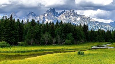 Wood stream mountains cloudy fir trees grass summer 4k wallpaper
