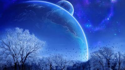 winter trees birds planets stars 4k wallpaper