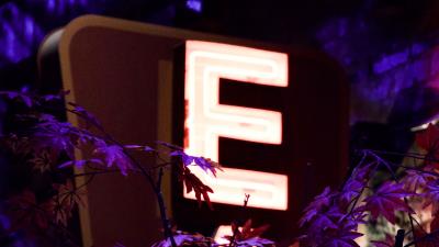 Letter inscription neon 4k wallpaper