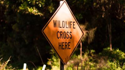 Sign inscription wildlife 4k wallpaper