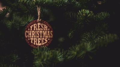 Spruce label inscription 4k wallpaper