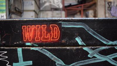 Wild neon inscription 4k wallpaper