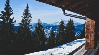 Trees winter mountains window 4k wallpaper