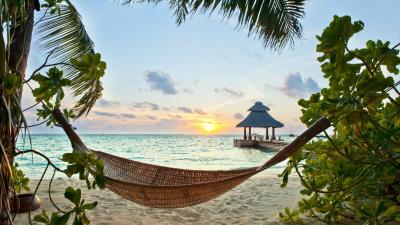 Tropics beach sand hammock holiday palm 4k wallpaper