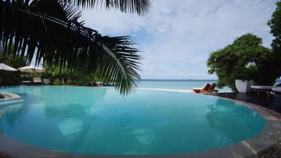 Tropics swimming pool palm trees 4k wallpaper