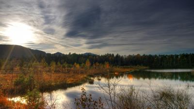 Utumn lake forest nature 4k wallpaper