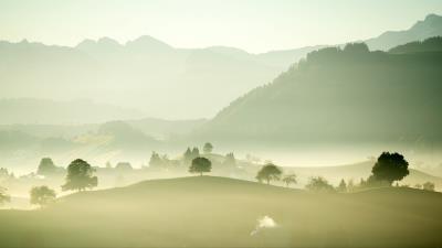 Valley fog trees 4k wallpaper