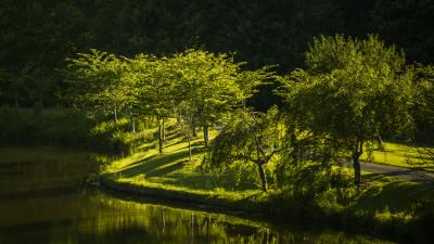 Virginia park lake nature trees 4k wallpaper