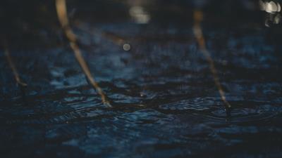 Water glare circles branches 4k wallpaper