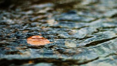 Water leaf ripples excitement 4k wallpaper