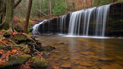 Waterfall HD Forest 4k wallpaper