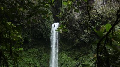 Waterfall branches trees 4k wallpaper