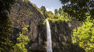 Waterfall cliff trees image 4k wallpaper
