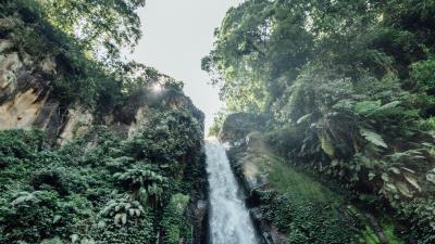 Waterfall cliff trees 4k wallpaper