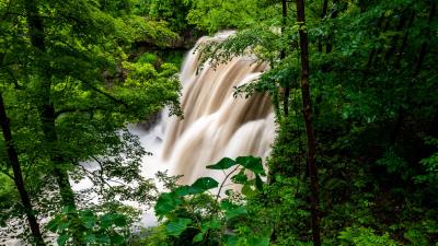 Waterfall forest trees image 4k wallpaper