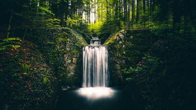 Waterfall landscape plants 4k wallpaper