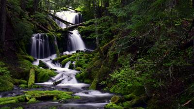 Waterfall moss water 4k wallpaper