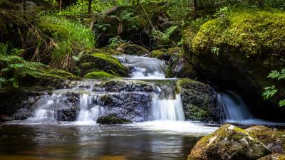 Waterfall plants stones 4k wallpaper
