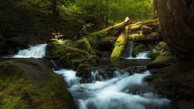 Waterfall spray snags 4k wallpaper