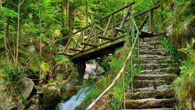 Waterfall steps bridge 4k wallpaper