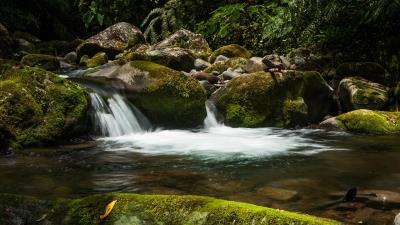 Waterfall stones moss image 4k wallpaper