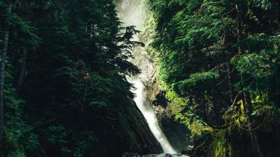 Waterfall stones trees 4k wallpaper