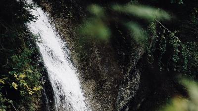 Waterfall stream branches 4k wallpaper