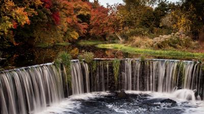 Waterfall stream trees 4k wallpaper