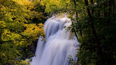 Waterfall trees branches image 4k wallpaper