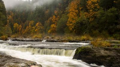 Waterfall trees stones 4k wallpaper