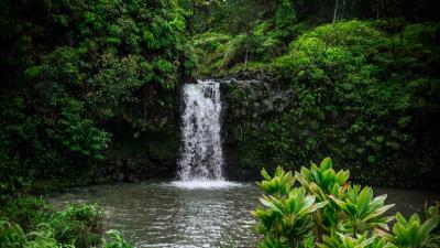 Waterfall vegetation green 4k wallpaper