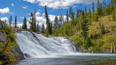 Waterfall water trees 4k wallpaper