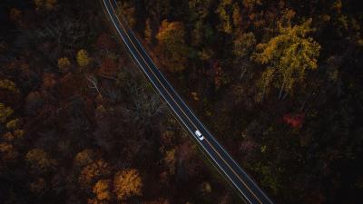 Auto road view from above trees 4k wallpaper