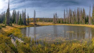 Autumn Pond South San Juan Colorado Wallpaper 4k wallpaper