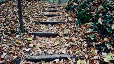 Autumn foliage stairs 4k wallpaper