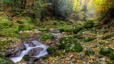 Autumn forest river rocks landscape wallpaper 4k wallpaper
