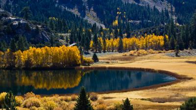 Autumn lake trees mountains wallpaper 4k wallpaper